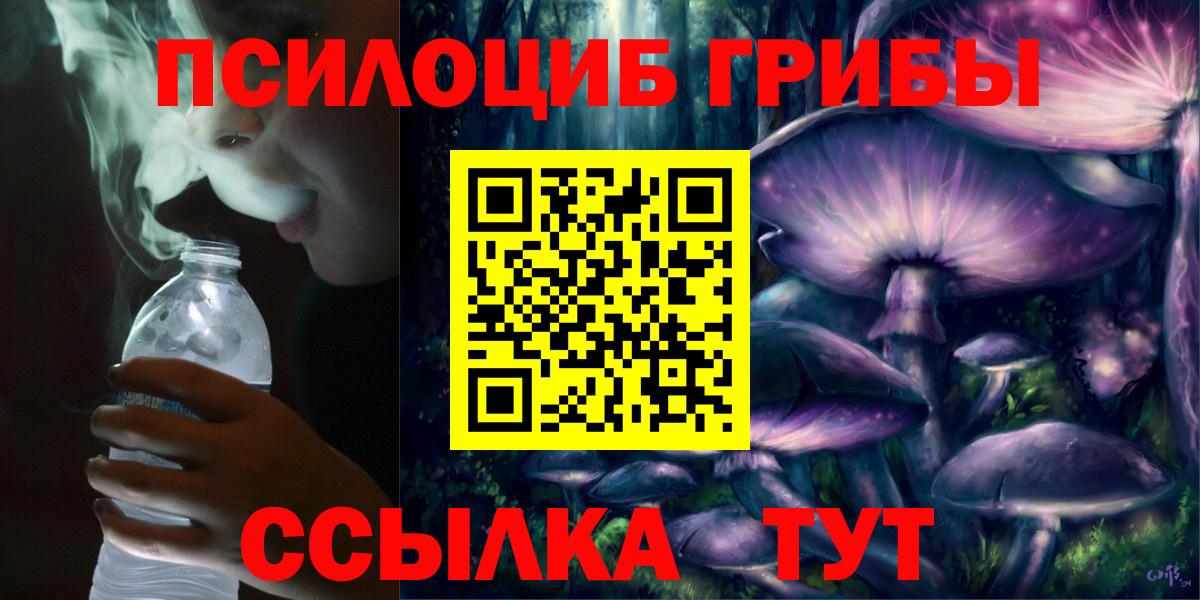 Подольск  Галлюциногенные грибы прущие грибы  Вход с VPN 